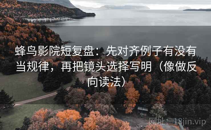 蜂鸟影院短复盘：先对齐例子有没有当规律，再把镜头选择写明（像做反向读法）